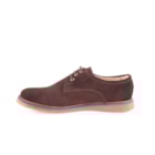 006 SH200 C Castanho3_1-3